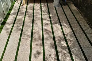 خدمات شرکت سازه نوین ایستا-فضای سبز و محوطه سازی